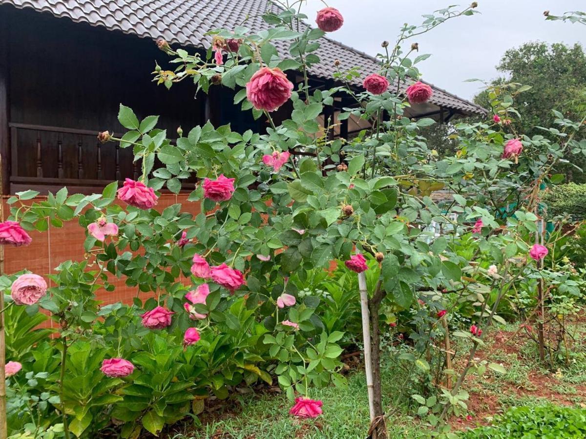 Phuong Nam Gia Trang Farmstay Gia Nghĩa Екстериор снимка